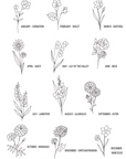 Birth Flower Add-On