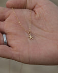 Starfish Necklace