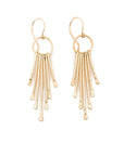 Fringe Earrings