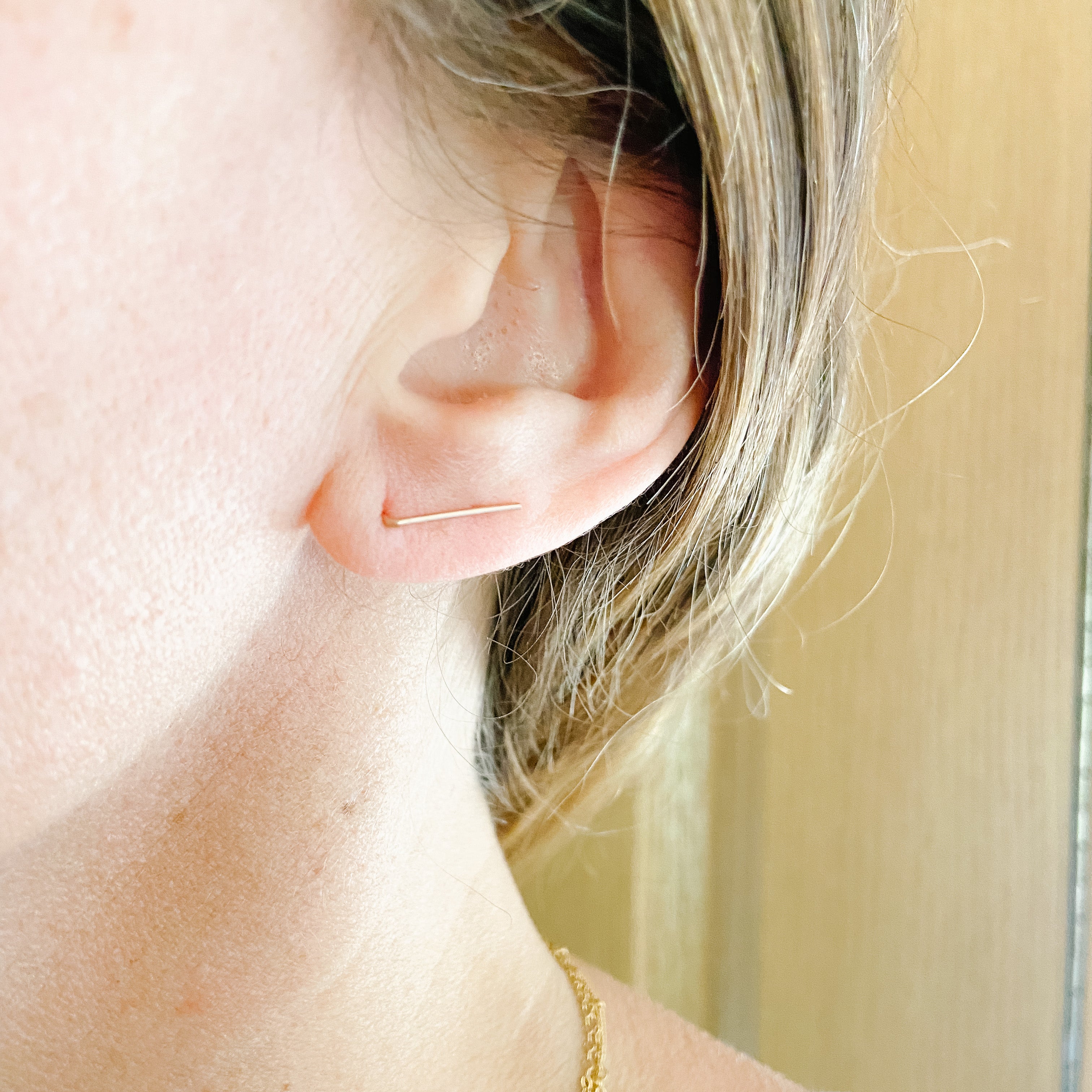 Staple Earrings - Main Image