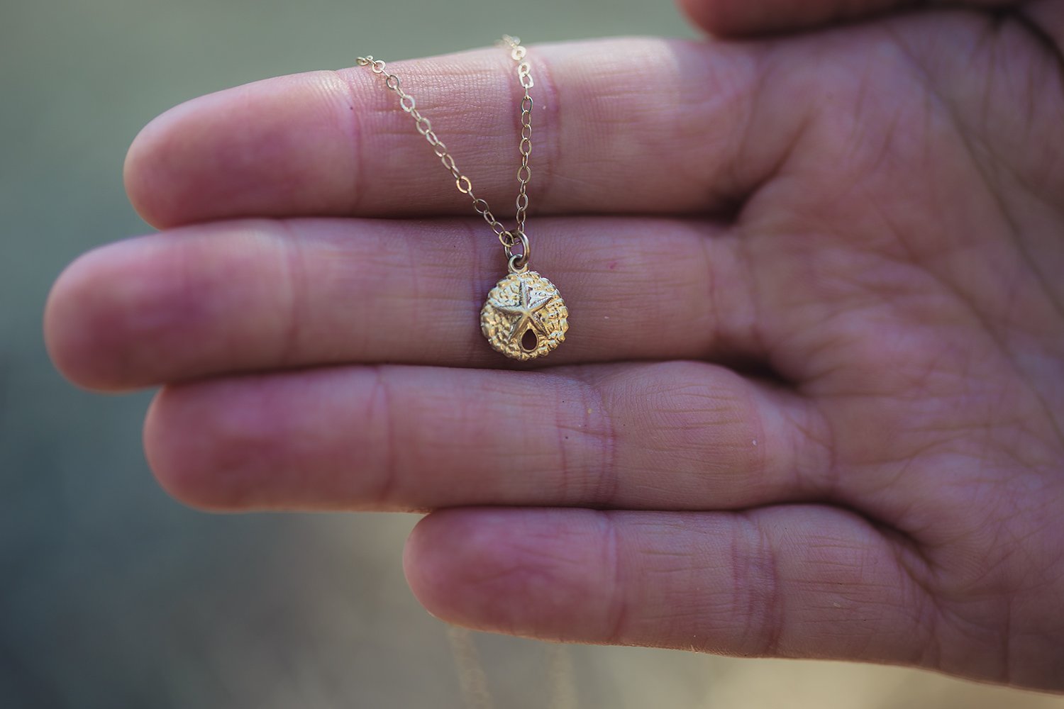 gold sand dollar necklace