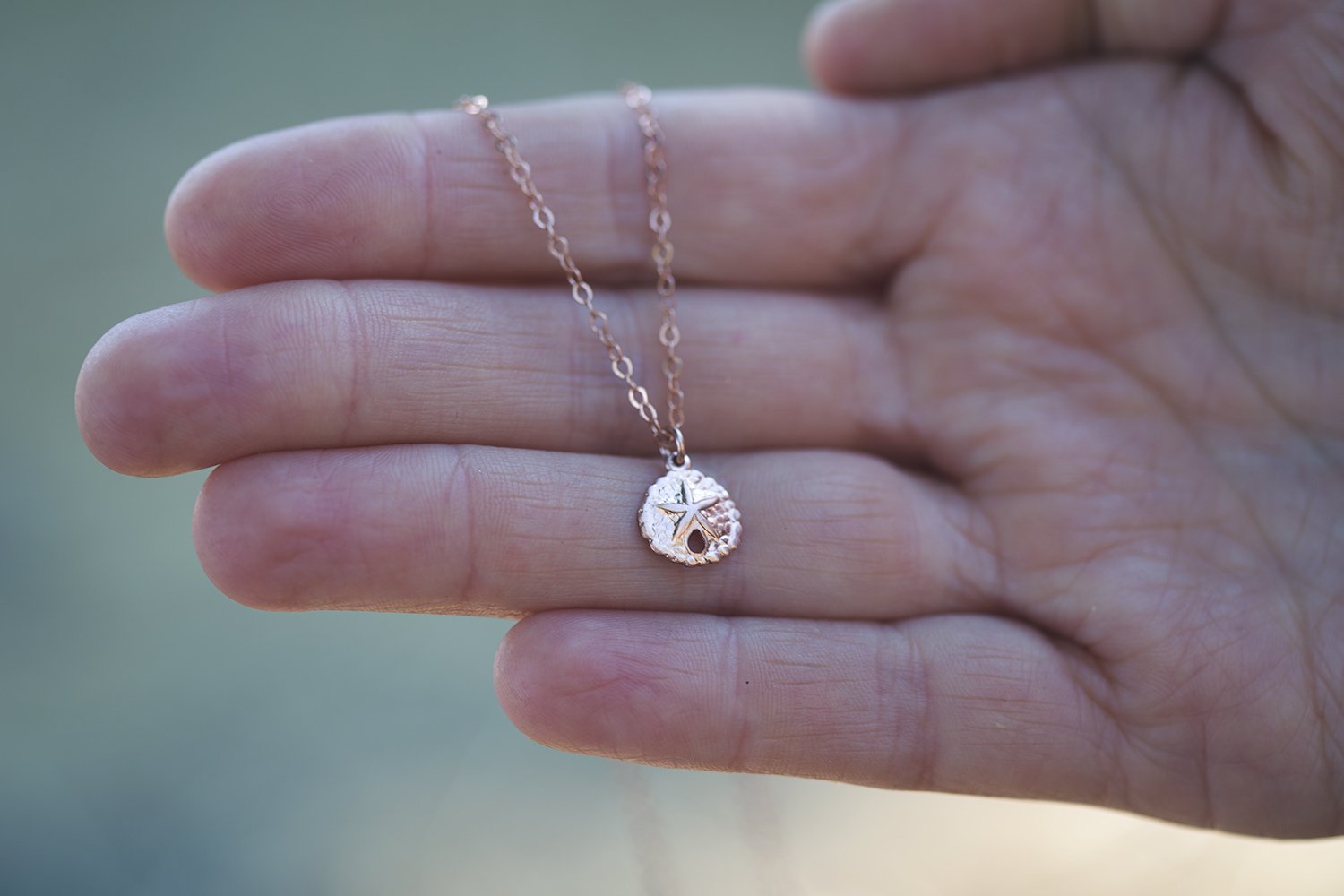 rose gold sand dollar necklace